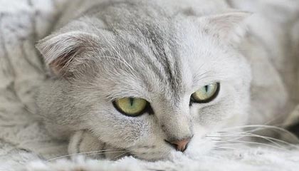 开云直播平台-巴萨后卫半年后终复出 险被放弃的他要成救星了？