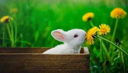 开云直播平台-【欧冠】阿森西奥中柱 皇马客场0比2遭顿涅茨克双杀